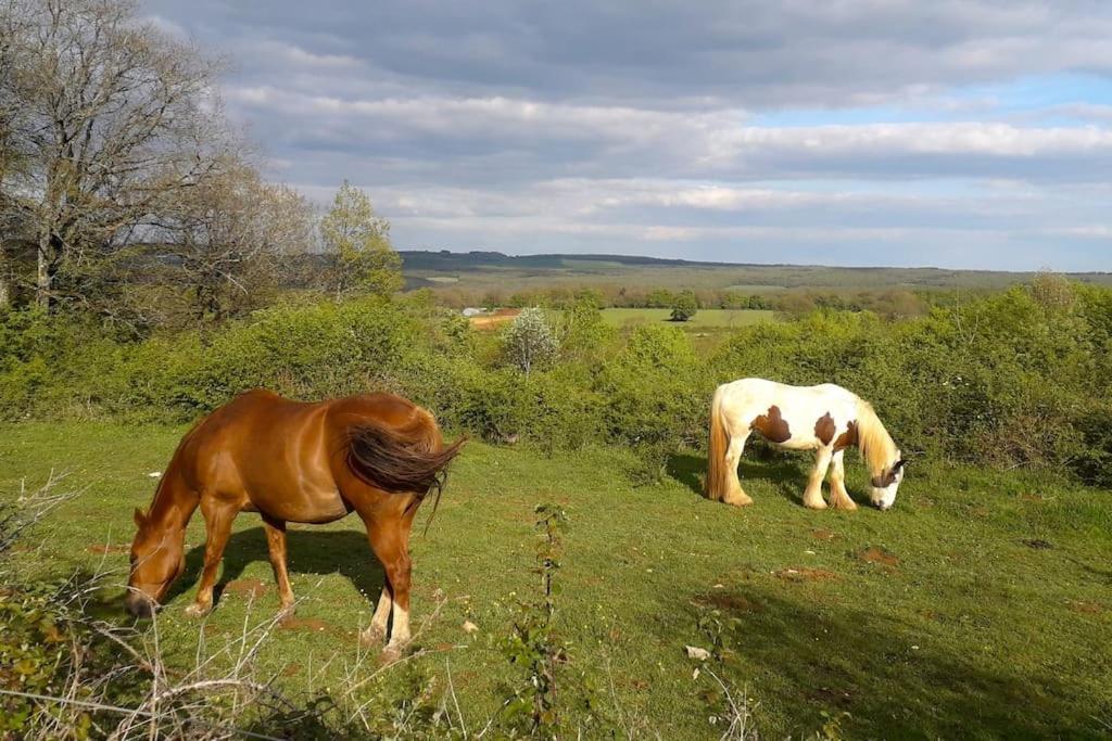 Montceau-et-Echarnant Maison De Bois En Pleine Nature A 20 Min De Beaune מראה חיצוני תמונה