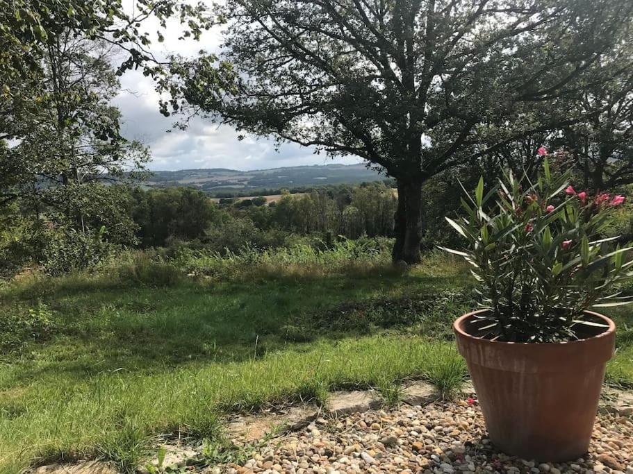 Montceau-et-Echarnant Maison De Bois En Pleine Nature A 20 Min De Beaune מראה חיצוני תמונה